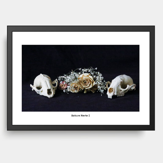 Nature Morte I , Still Life, Flower & Skulls , Memento Mori