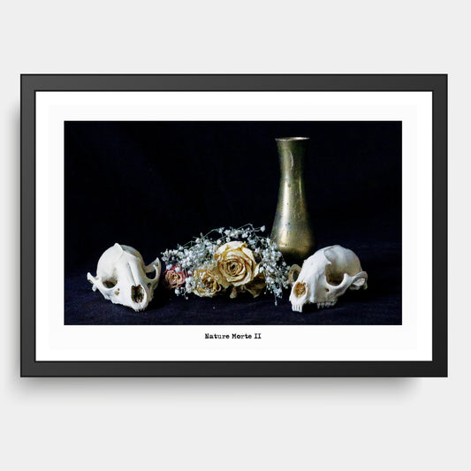 Nature Morte II , Still Life, Flower & Skulls , Memento Mori